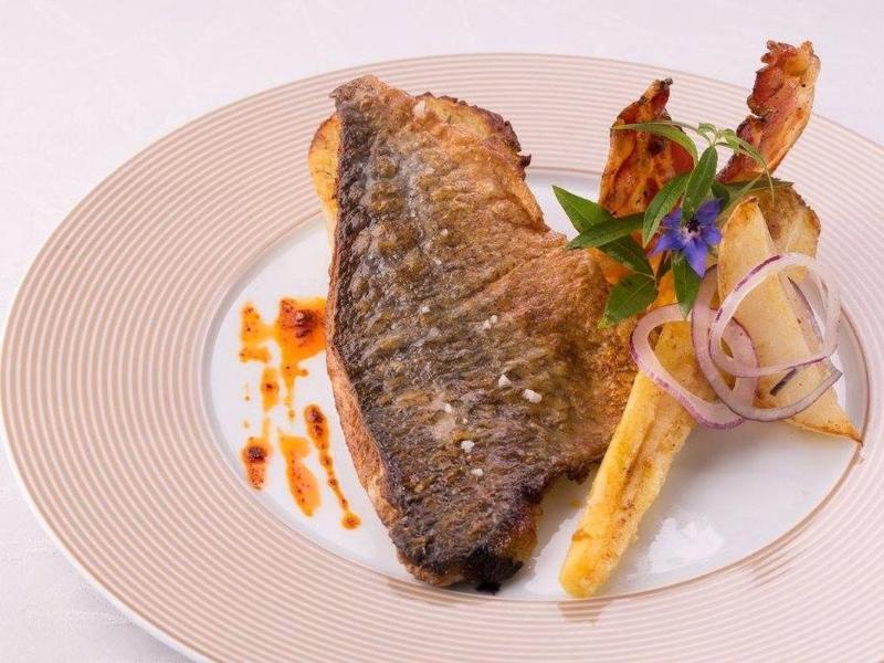 Logis Hotel Restaurant Solenca Ногаро Екстериор снимка